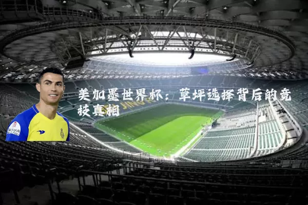 美加墨世界杯:草坪选择背后的竞技真相